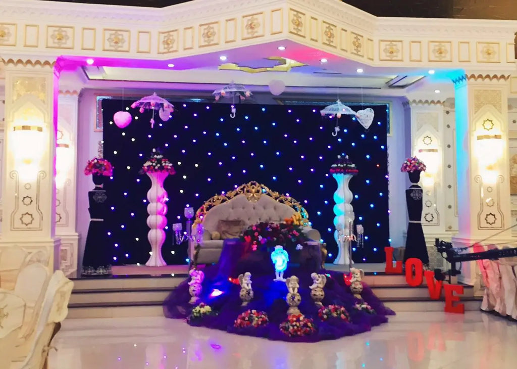 LED Starry Sky Curtain with DMX512 Controller for Weddings, Bars & DJ Shows
